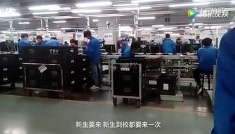 云南職校生被 賣身 當(dāng)苦工,不實(shí)習(xí)不給畢業(yè) 學(xué)校月入20萬元