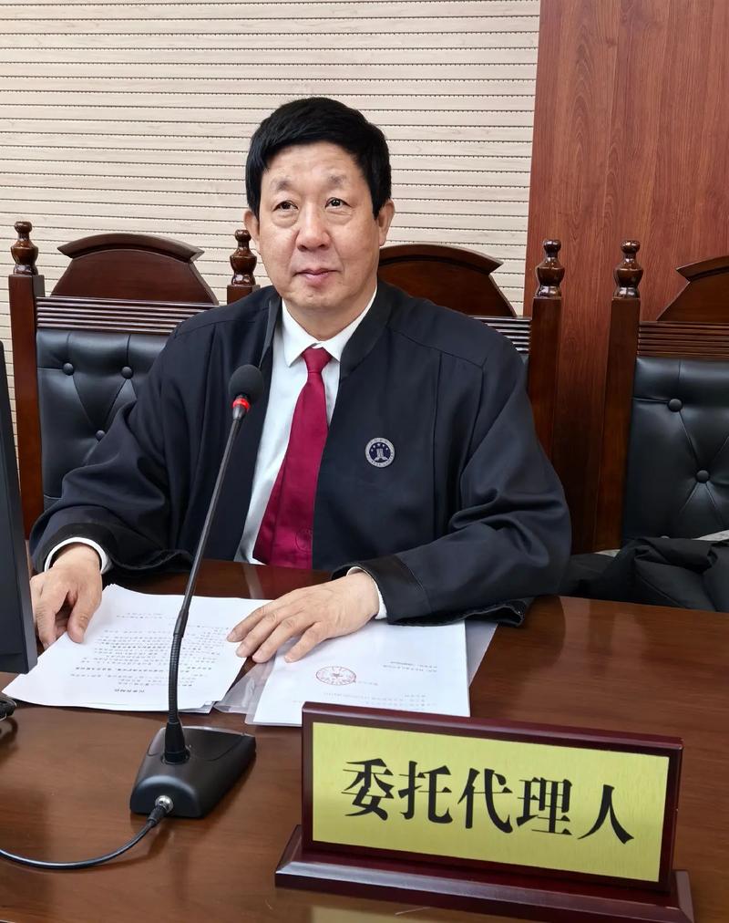 法庭永遠是律師的.#法治在線 #律師天團 #開庭律師袍