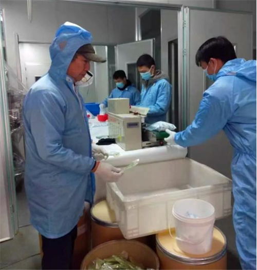 抗擊疫情中國律師在行動 守望相助馳援荊楚