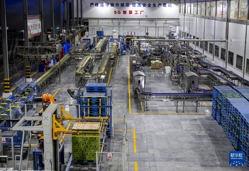 從家庭作坊到國際舞臺 律師視角下的福建晉江民營企業蛻變之路