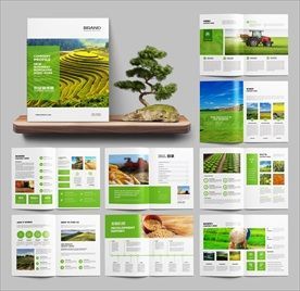 綠色農業的法律護航 農產品宣傳冊中的合規要點